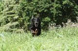 BEAUCERON 067